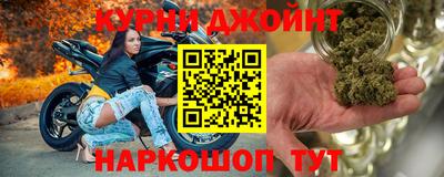 спайс Кингисепп