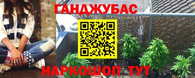 спайс Кингисепп