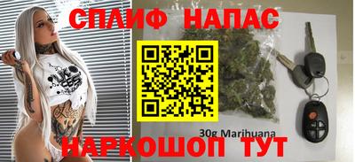 спайс Кингисепп