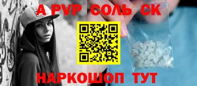 спайс Кингисепп