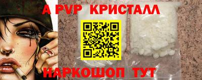 спайс Кингисепп