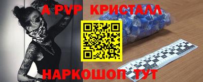 спайс Кингисепп