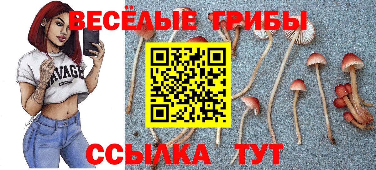 Балашов  Псилоцибиновые грибы мухоморы  Вход с VPN  наркотики  Псилоцибиновые грибы Psilocybine cubensis 